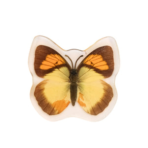 yellow orange tip butterfly magnet