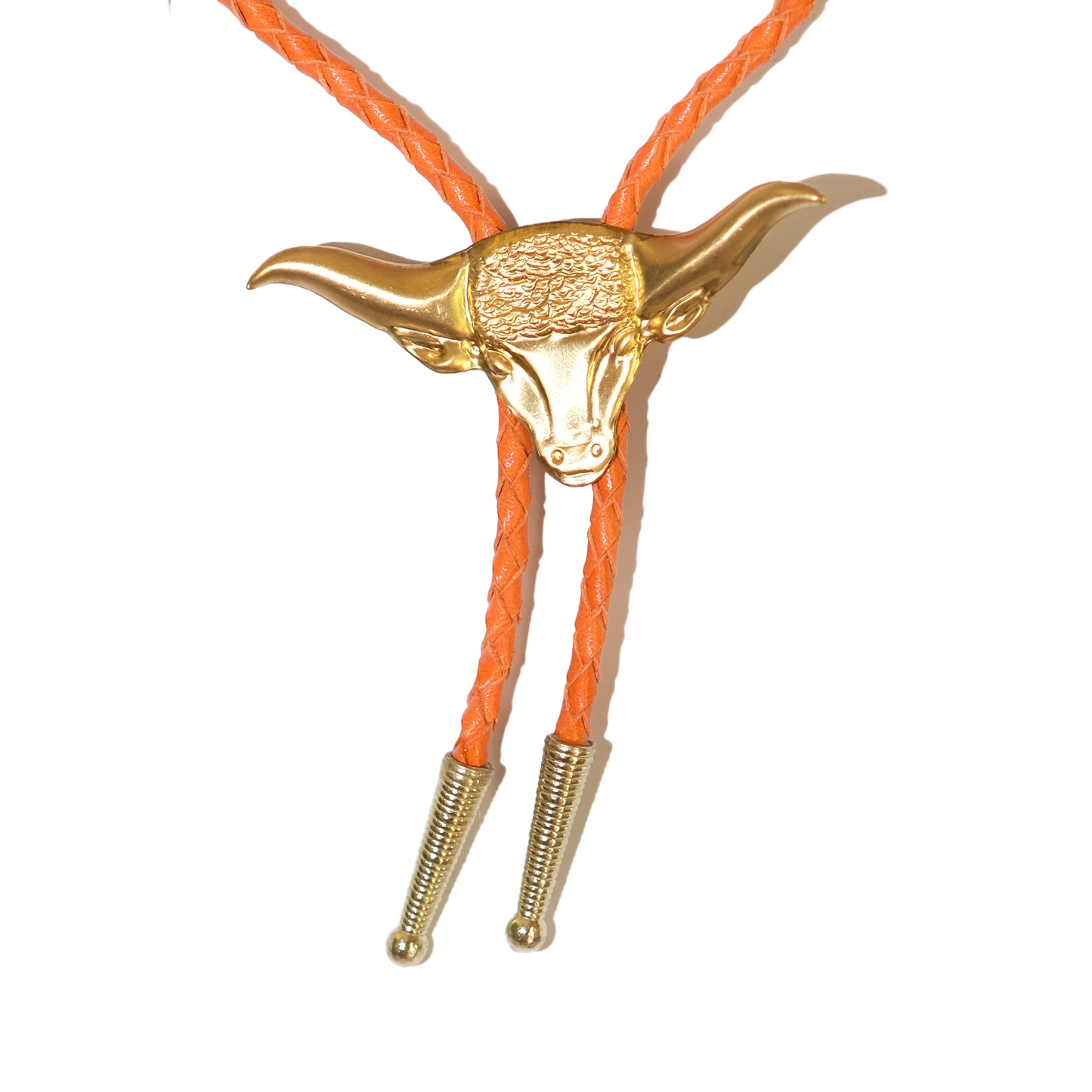 Texas Longhorn