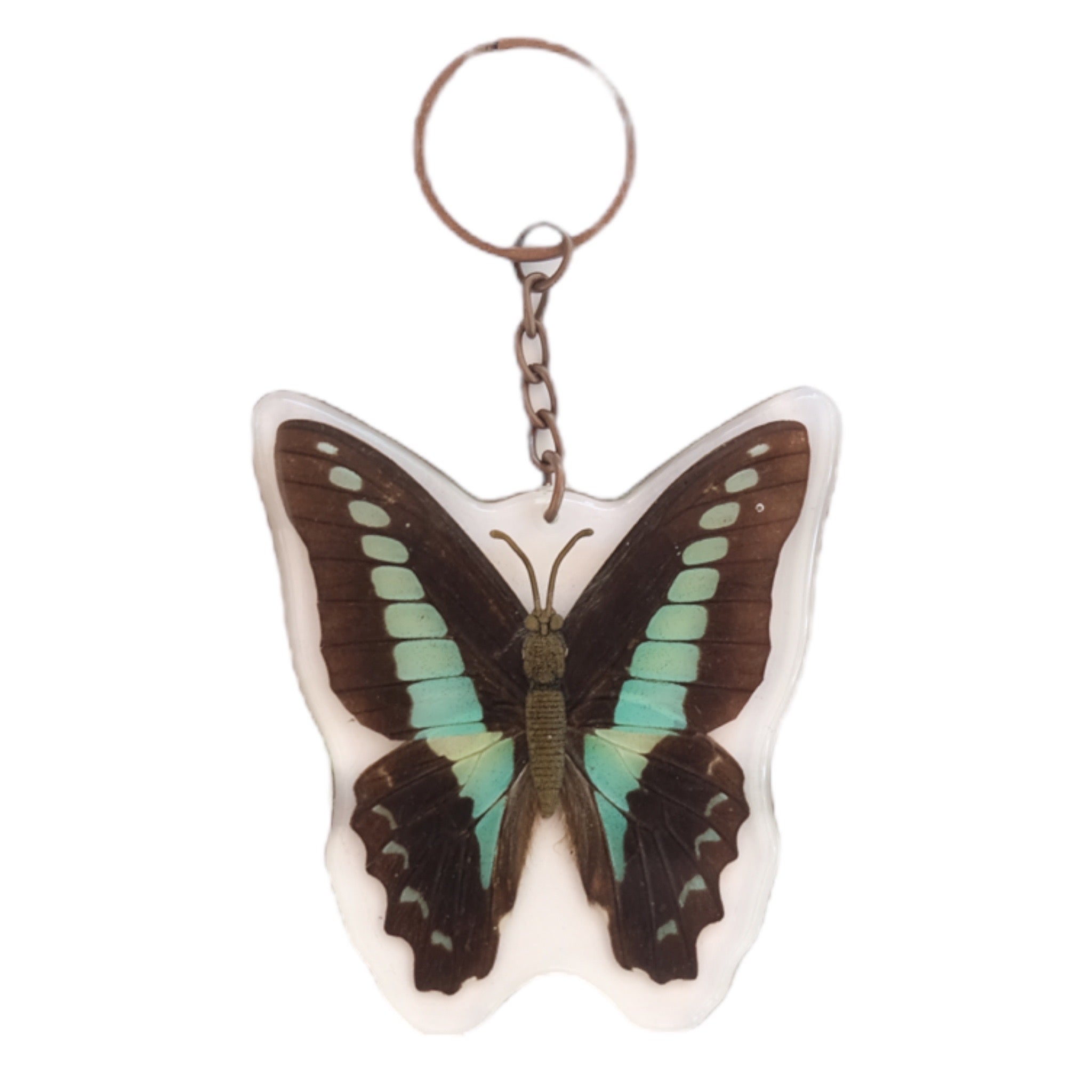 blue bottle butterfly keychain