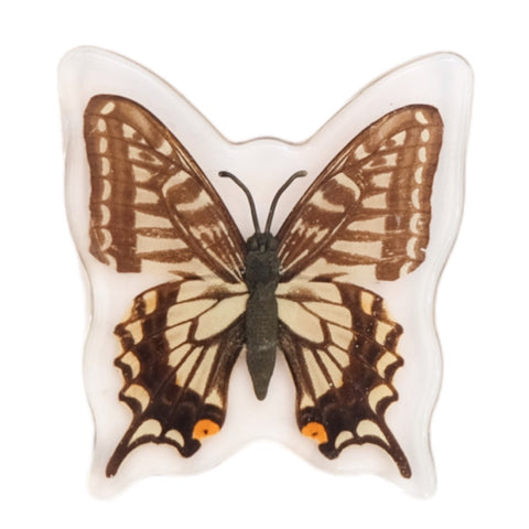 asian swallowtail butterfly magnet