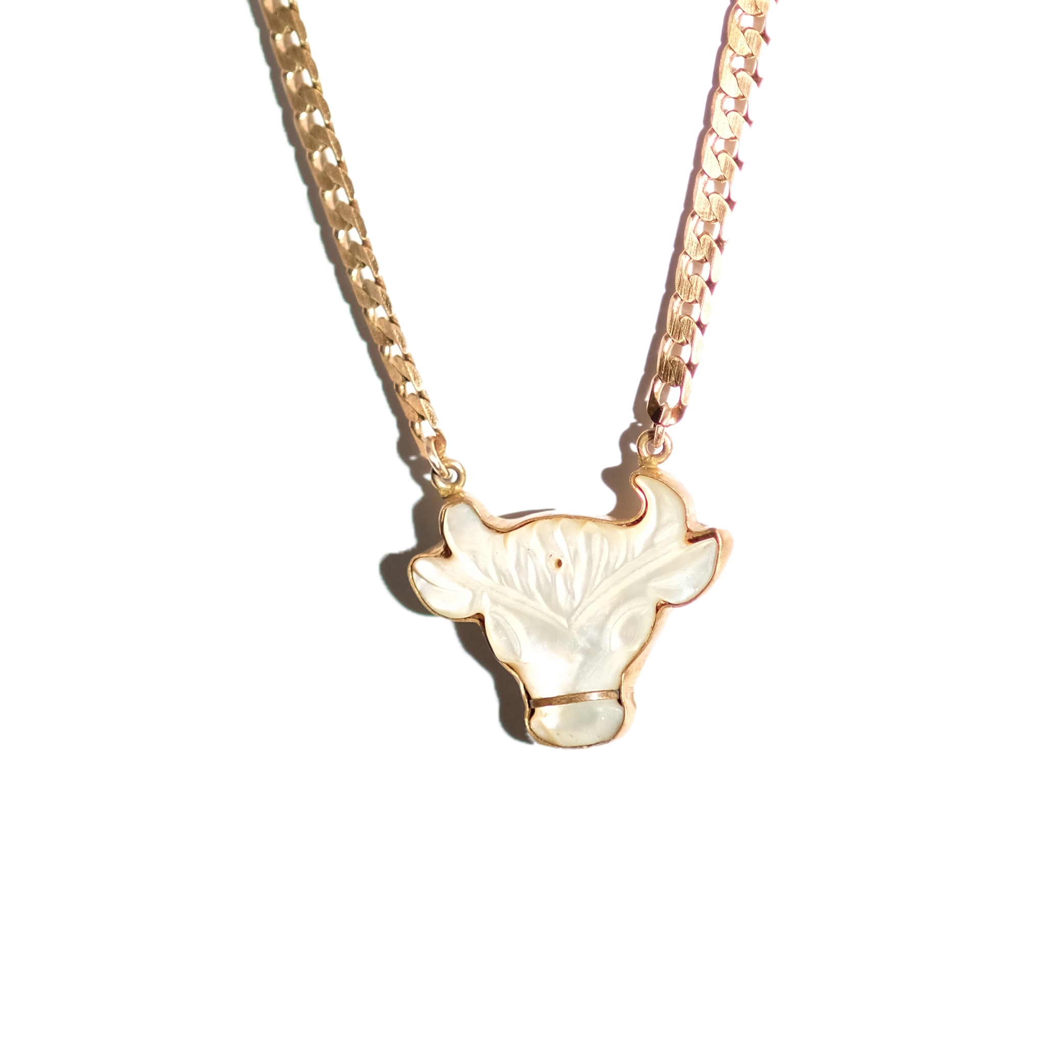 Bandera Bull