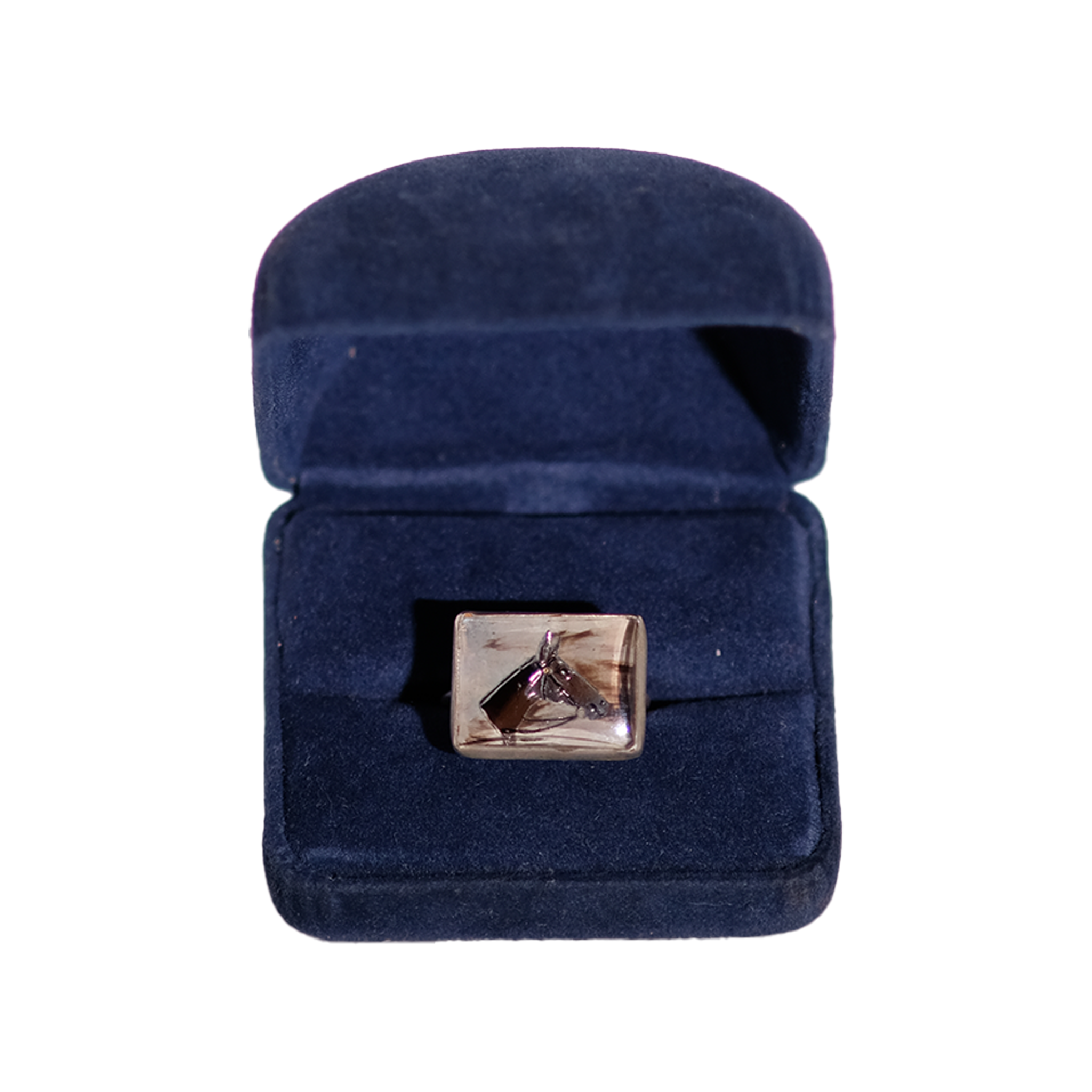Horse Intaglio