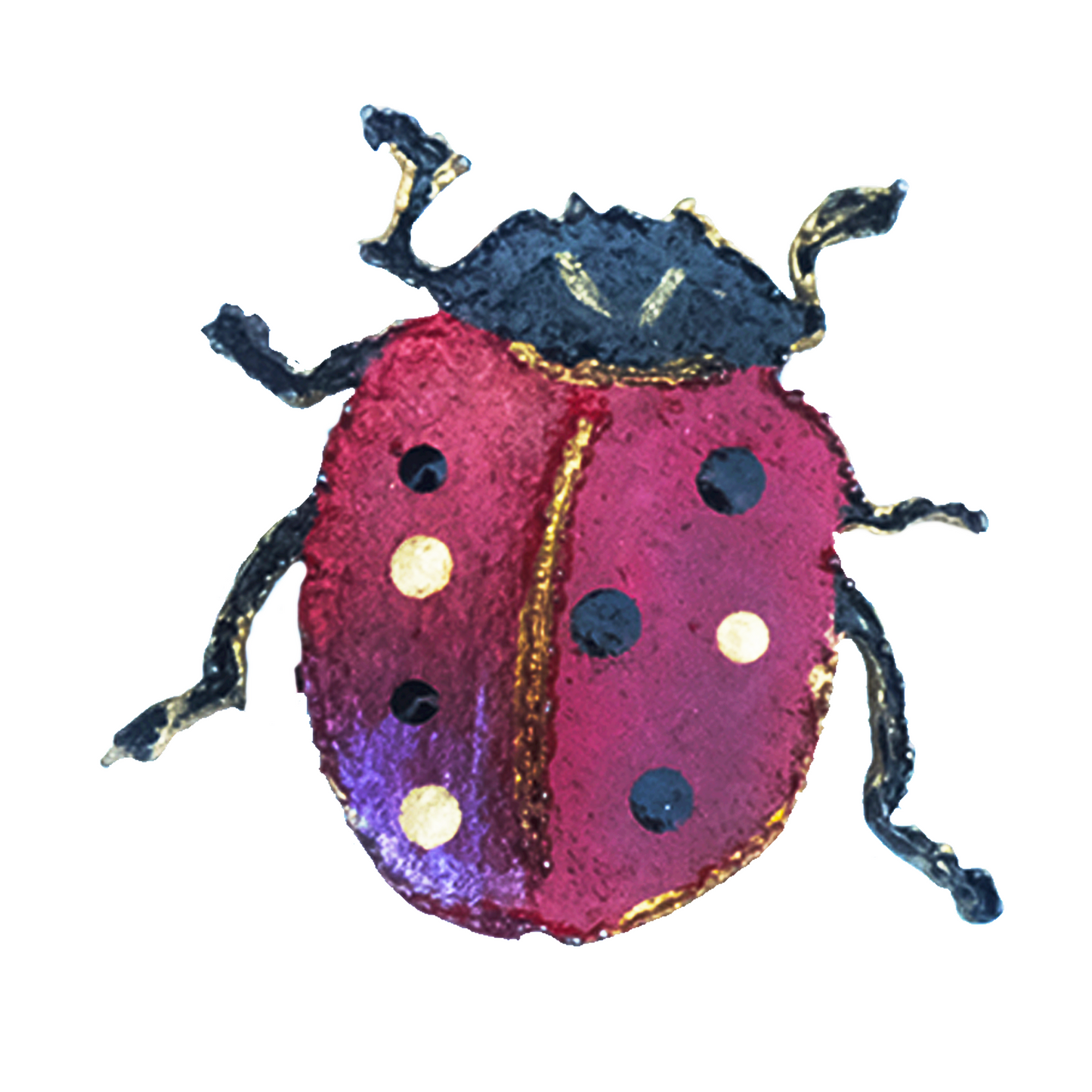 ladybug