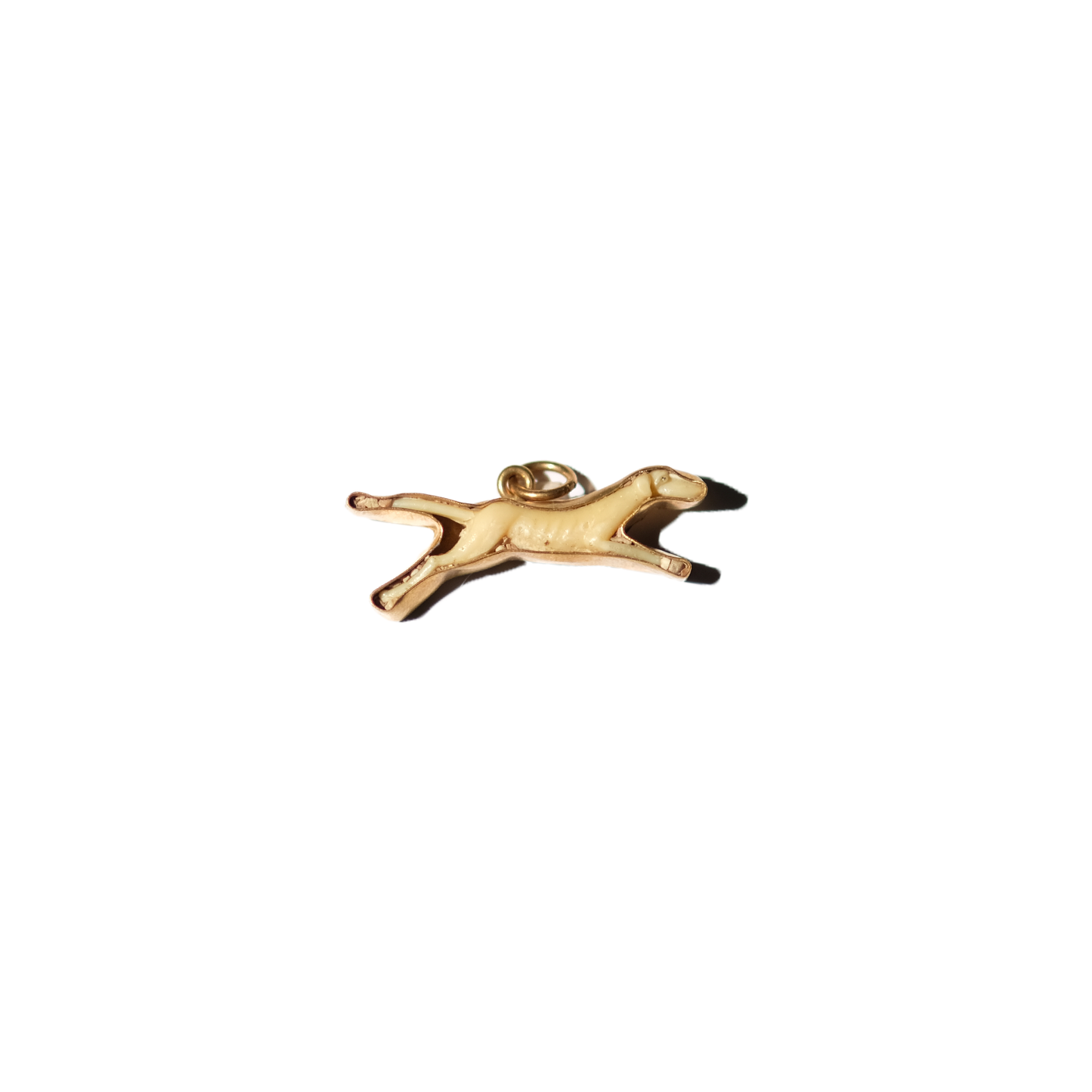 Greyhound Runner