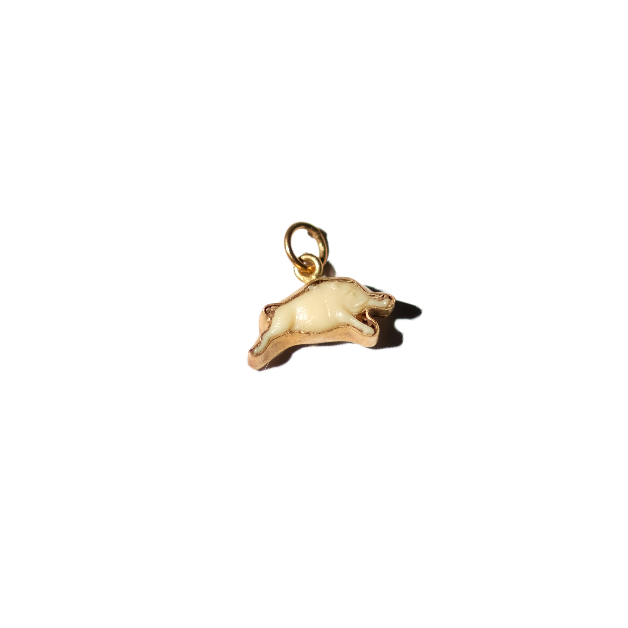 Tiny Razorback