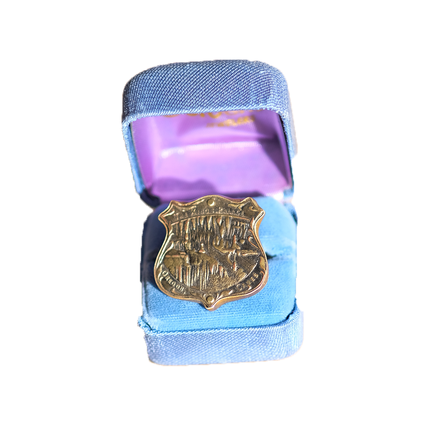 Badge of Honor (9.5)