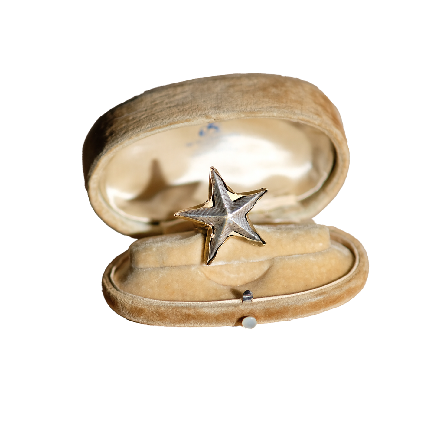Silver Starfish (8)