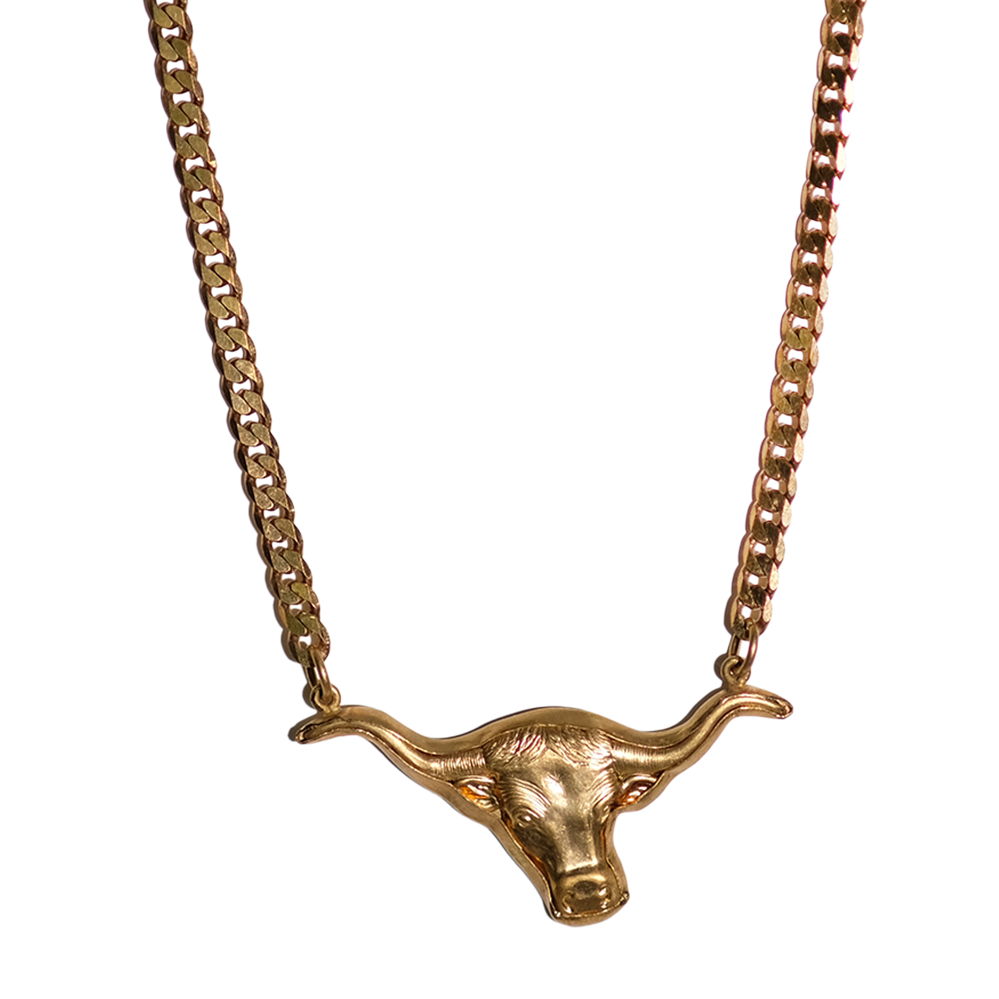 Longhorn Love